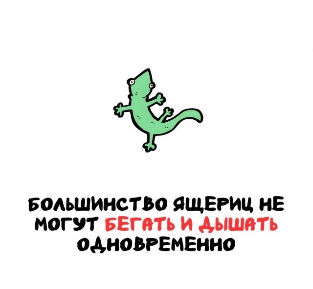 А вдруг ты не знал…