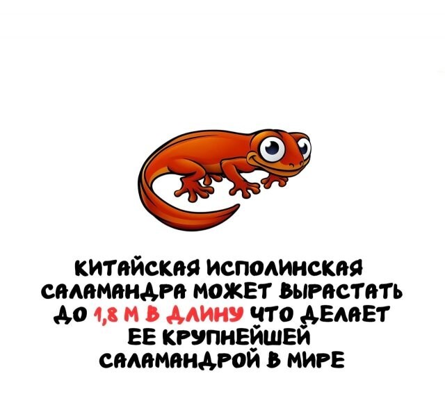 А вдруг ты не знал…