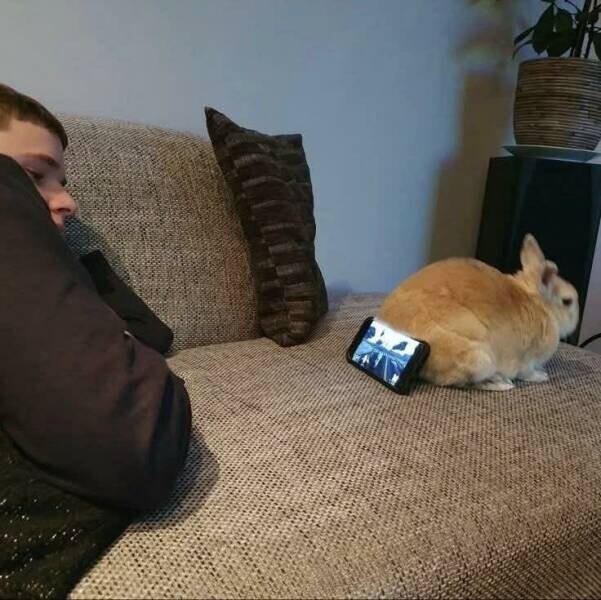 Намешалось