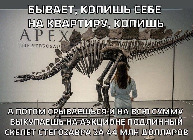Не ищите здесь смысл. Здесь в основном маразм