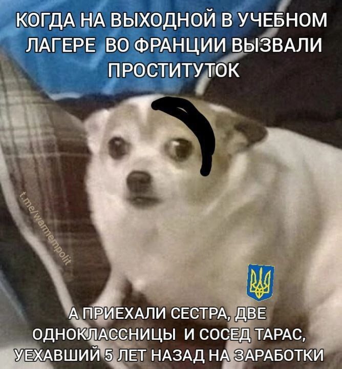 Ну не посылать же обратно - всё таки заплачено, пришлось развлекаться!