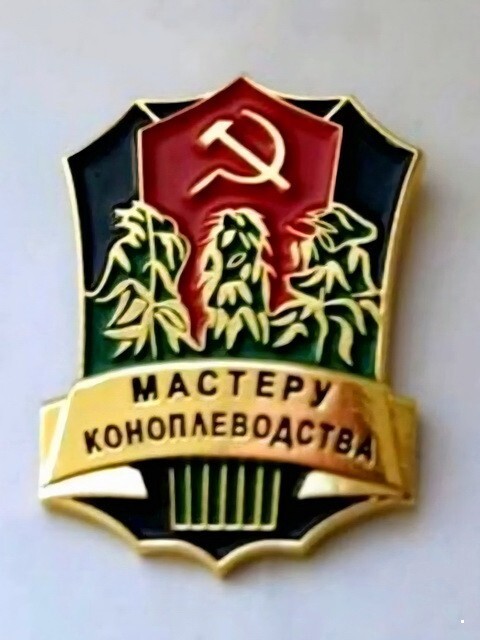 ФотоВсячина