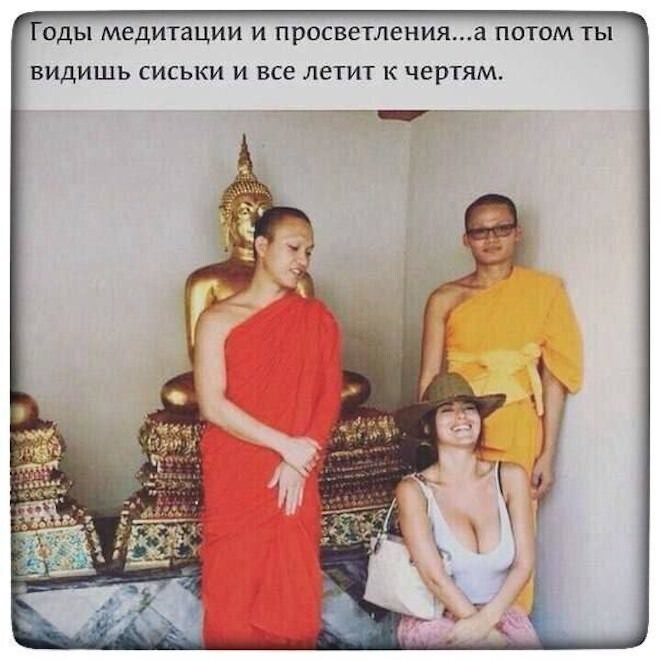 Смешные картинки