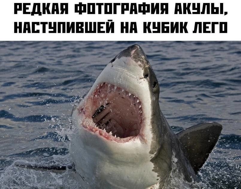 Смешные картинки