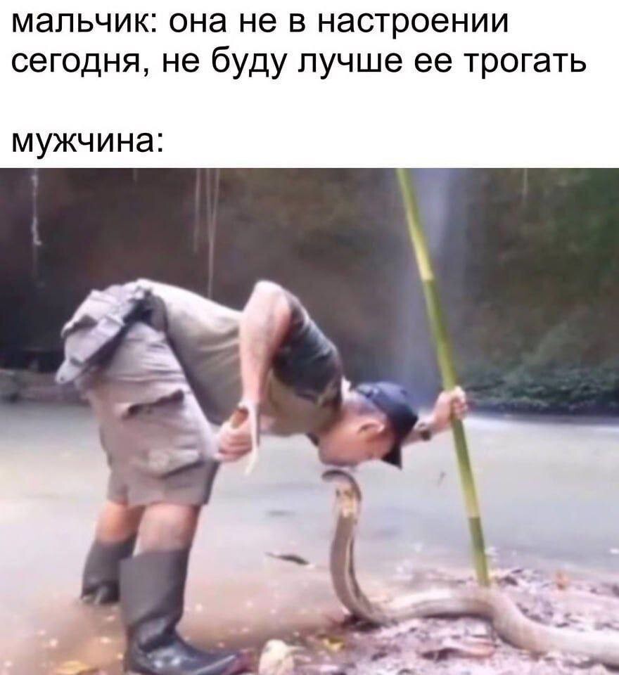 Смешные картинки