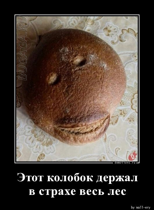 Демотиваторы для всех