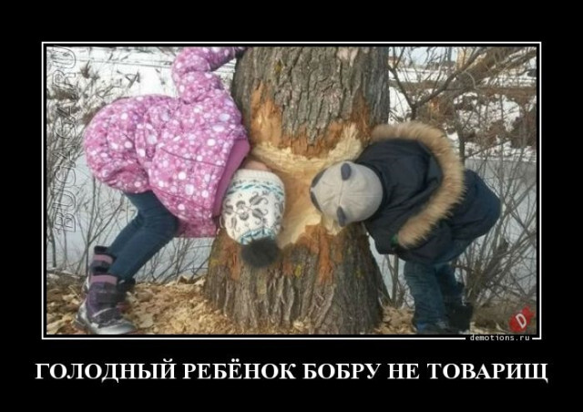 Демотиваторы для всех
