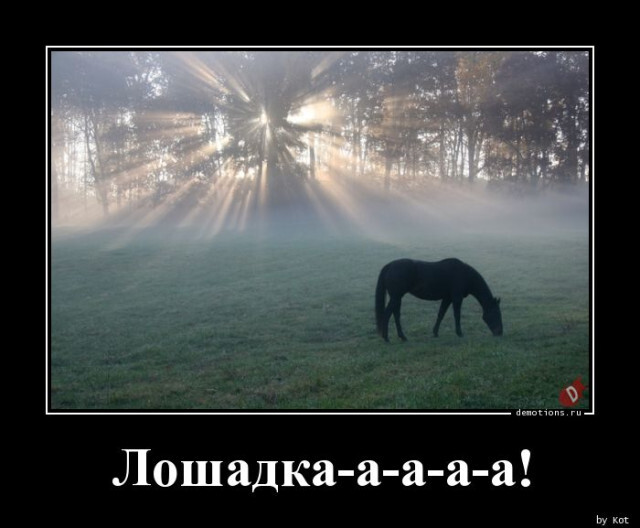 Демотиваторы для всех