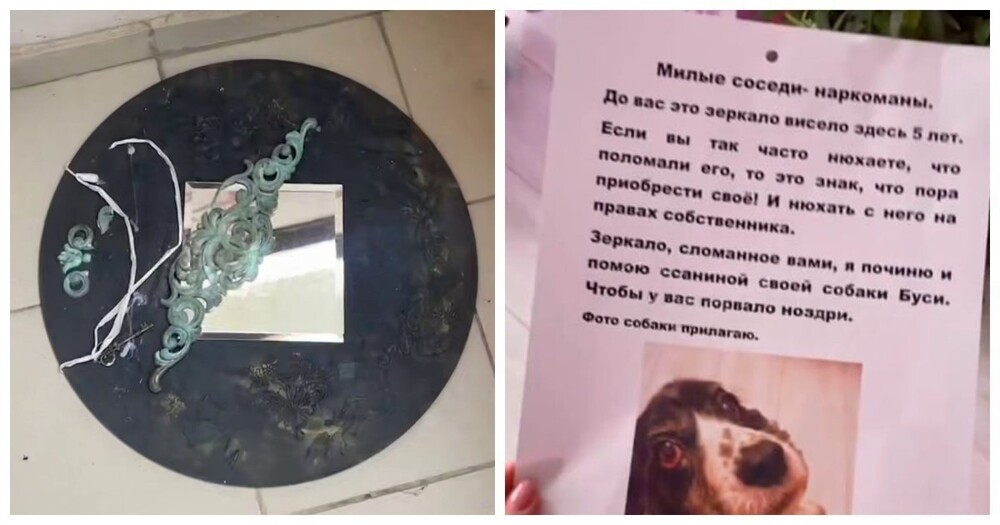 Наркоманы из Краснодара вечно воруют зеркало у гадалки для грязных дел — она и её собачка нашли способ отбить им нюх