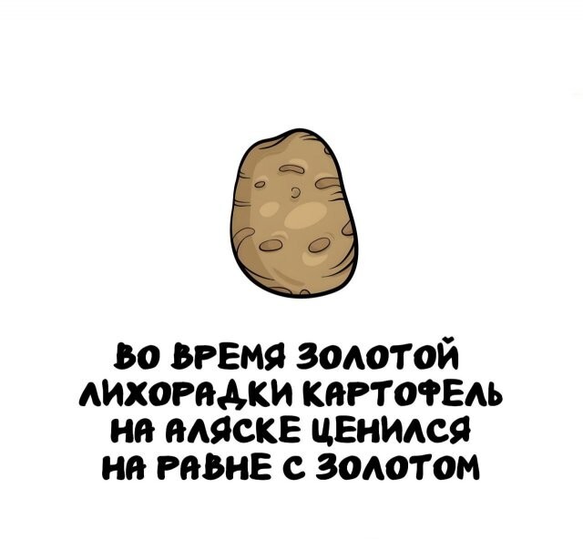 А вдруг ты не знал…