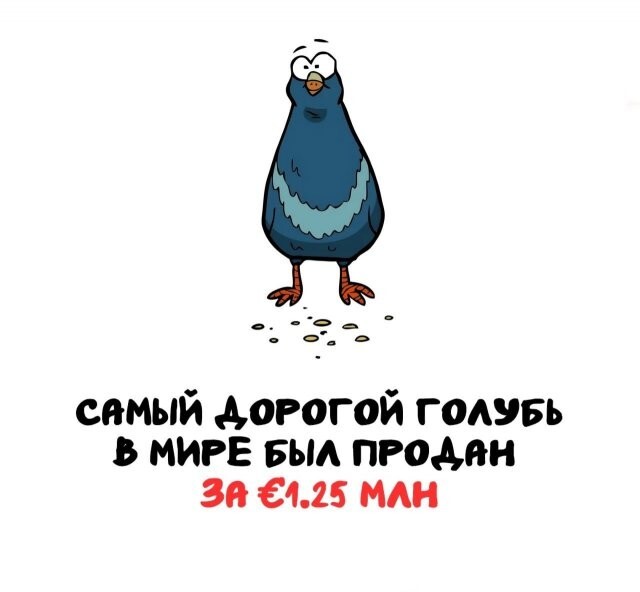 А вдруг ты не знал…