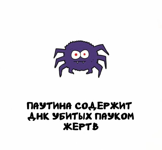 А вдруг ты не знал…