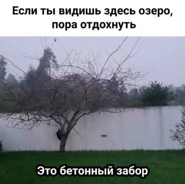 Скрины из соцсетей