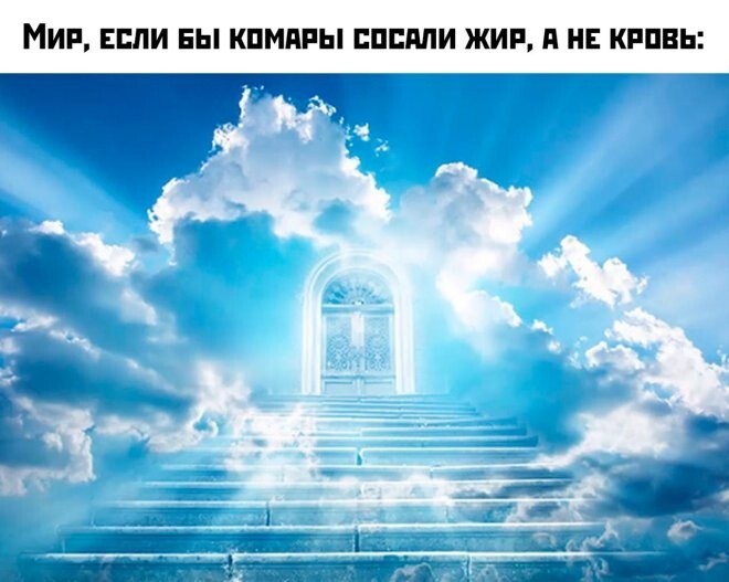Не ищите здесь смысл. Здесь в основном маразм