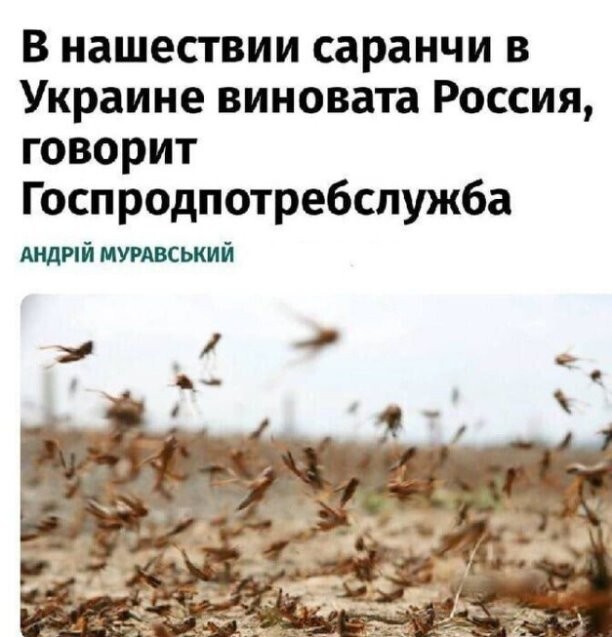 Политическое ассорти от Edyan за 05-08-2025