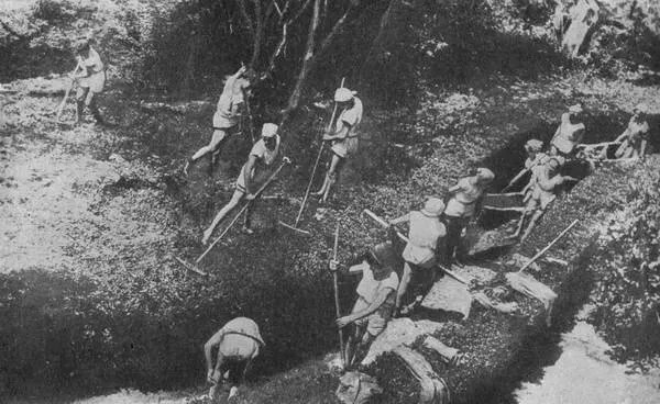 История "Артека"(довоенный период)-часть 1