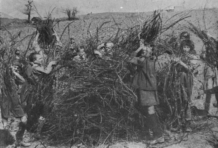 История "Артека"(довоенный период)-часть 1