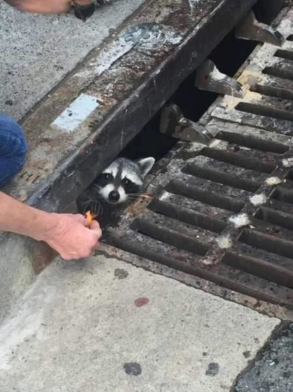 На общую тему 