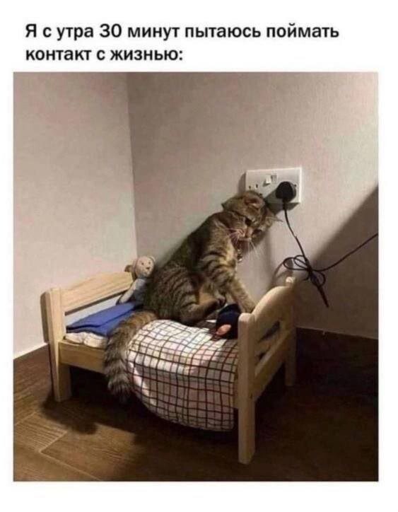 Скрины из соцсетей