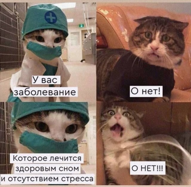 Скрины из соцсетей