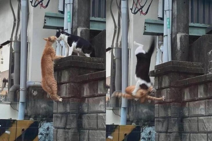 Всё вразнобой 