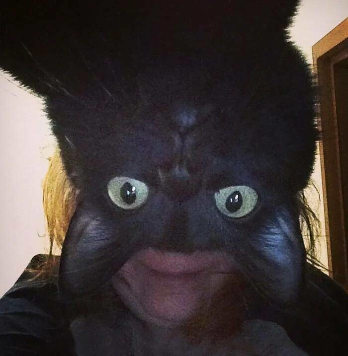 Всё вразнобой 