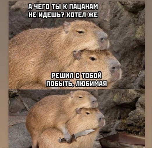 Не ищите здесь смысл. Здесь в основном маразм