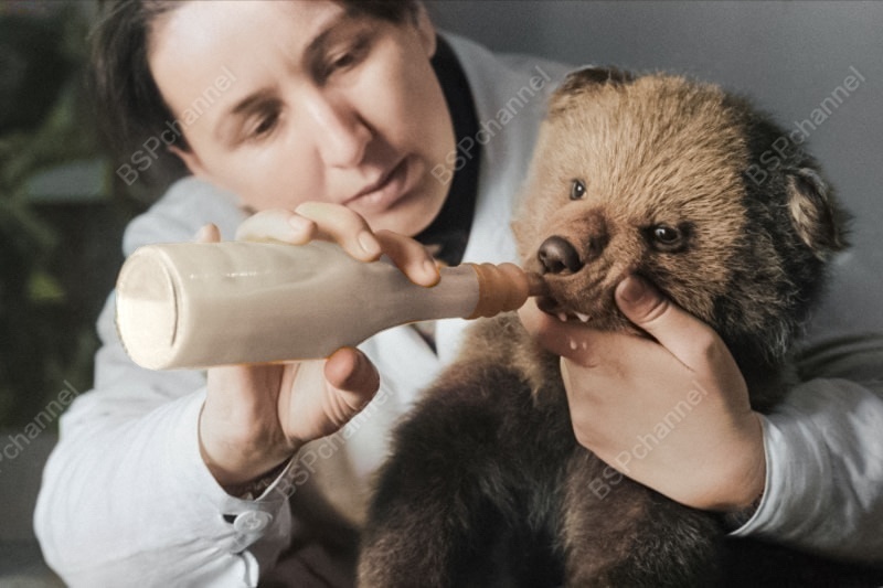 Удивительные и забавные фотографии с животными