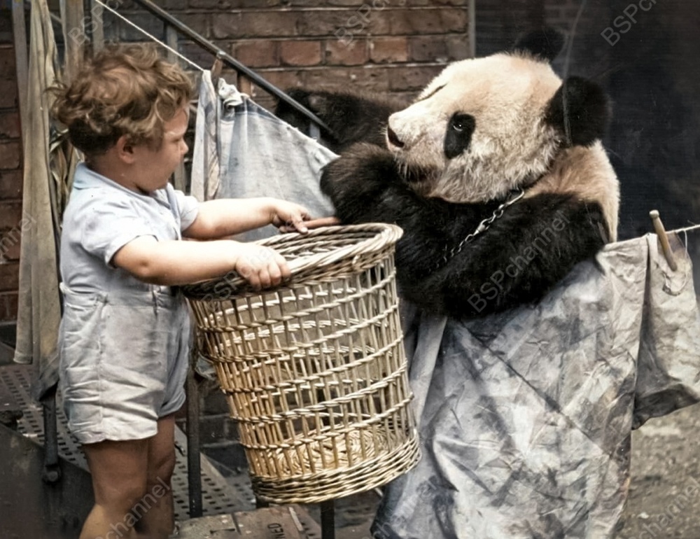 Удивительные и забавные фотографии с животными