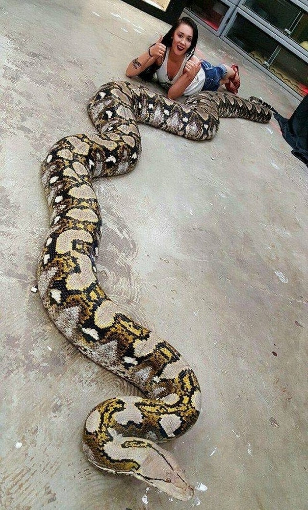 На общую тему 