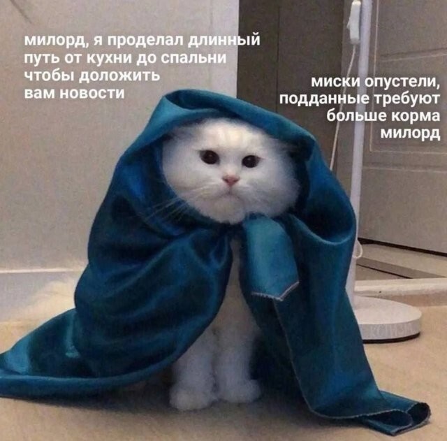 Скрины из соцсетей