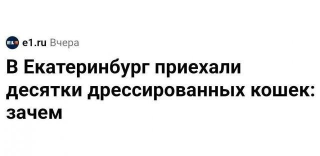 Скрины из соцсетей
