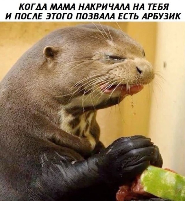 Не ищите здесь смысл. Здесь в основном маразм