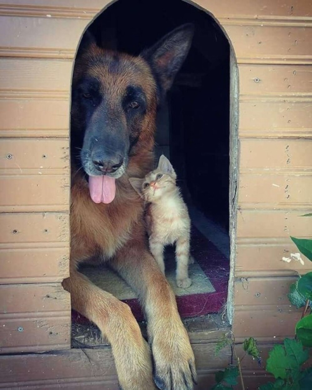 На общую тему 