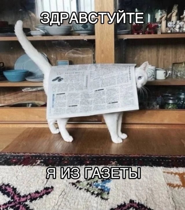 Скрины из соцсетей
