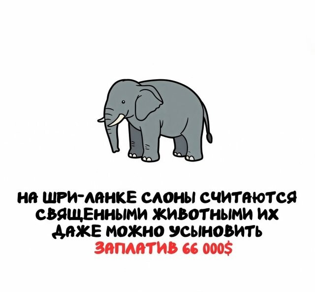 А вдруг ты не знал…