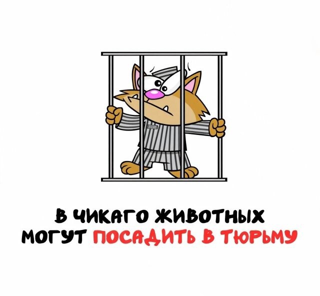А вдруг ты не знал…