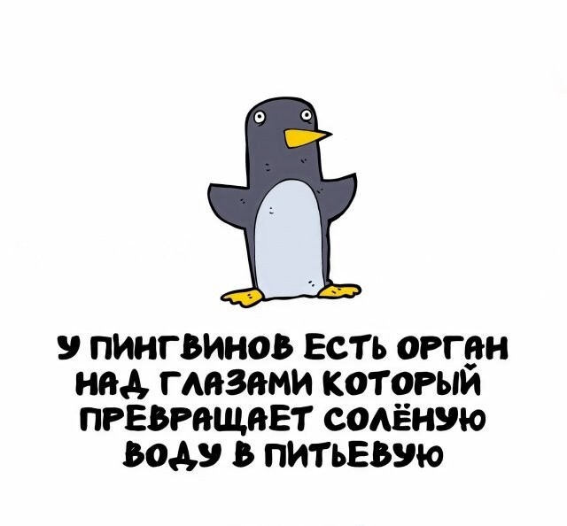 А вдруг ты не знал…