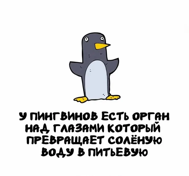 c8f14dac6188f362dfa0268d07e04f70.jpg.web