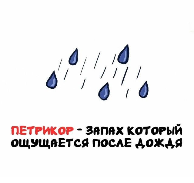 А вдруг ты не знал…