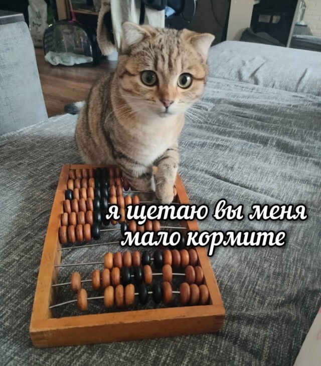 Не ищите здесь смысл. Здесь в основном маразм