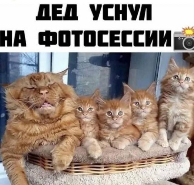 Не ищите здесь смысл. Здесь в основном маразм