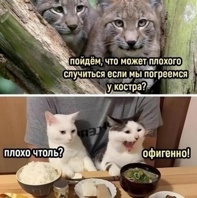 Не ищите здесь смысл. Здесь в основном маразм