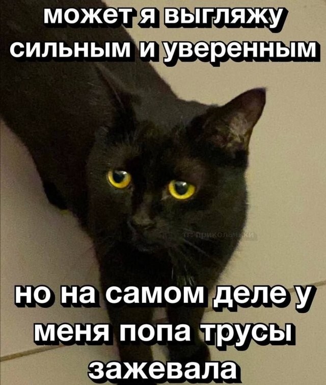 Скрины из соцсетей