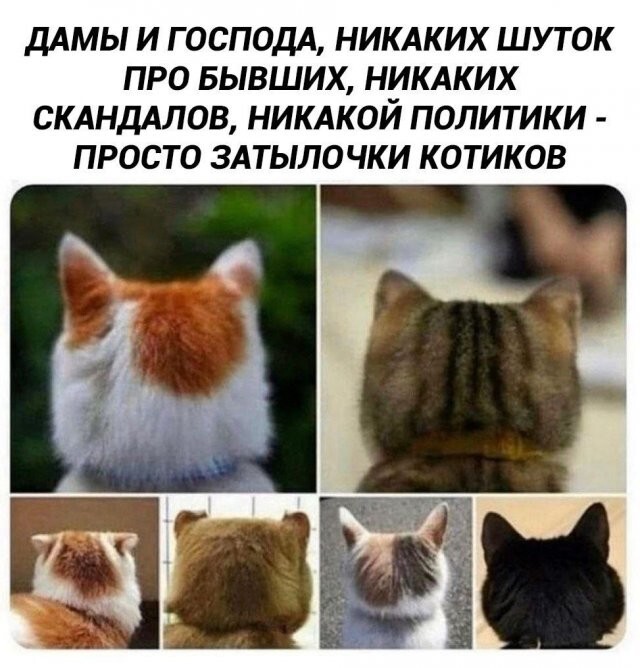 Скрины из соцсетей