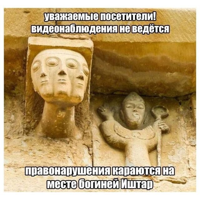 Скрины из соцсетей