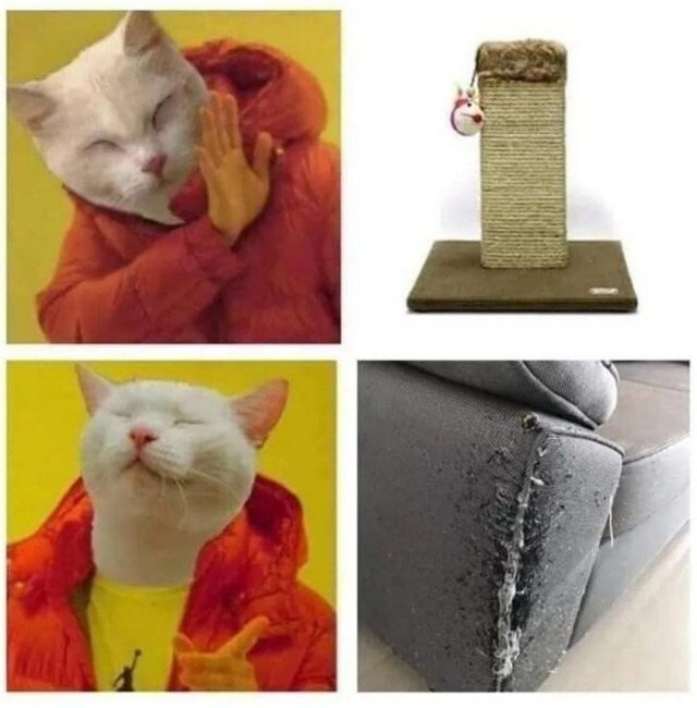 Скрины из соцсетей