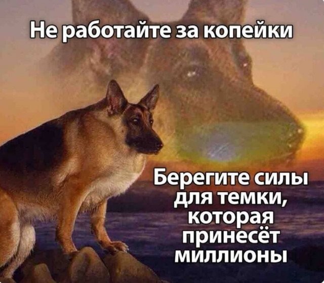 Скрины из соцсетей
