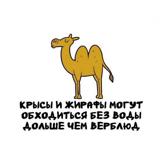 А вдруг ты не знал…