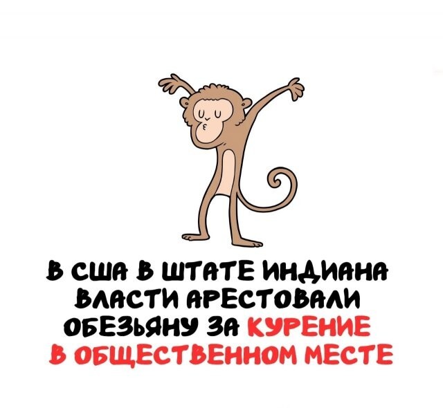 А вдруг ты не знал…